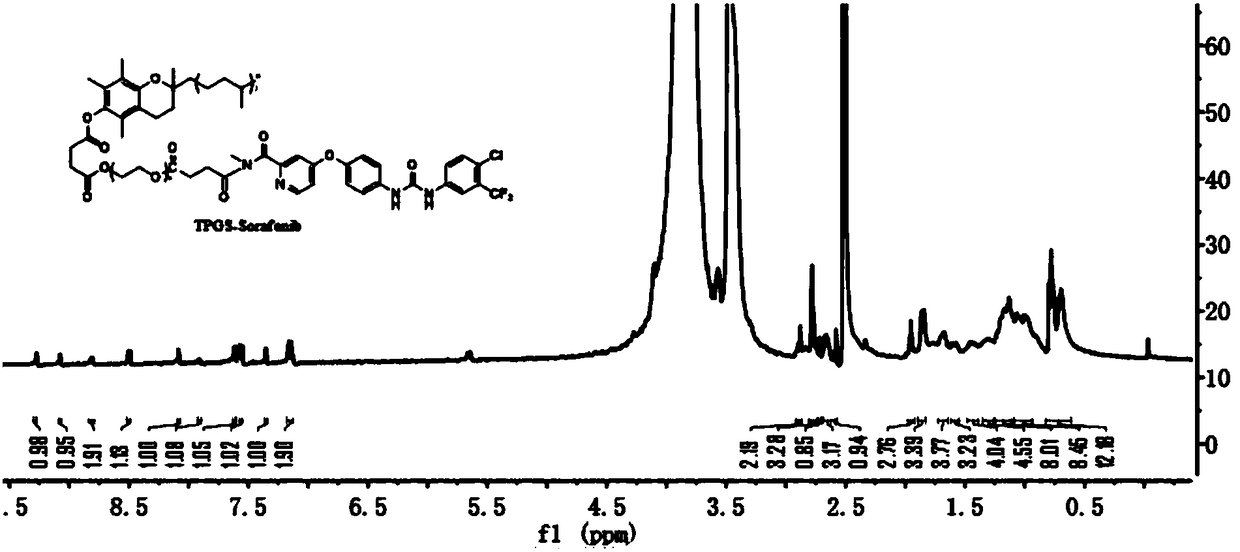 Polymer-drug conjugate and preparation method thereof