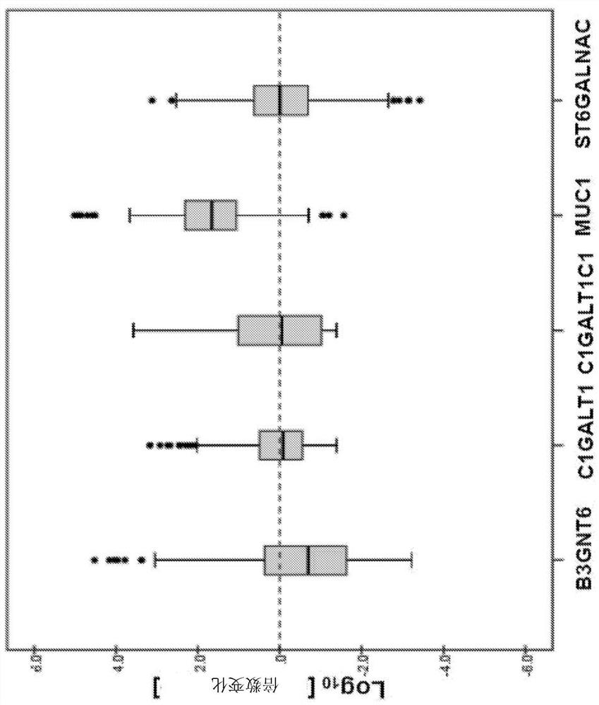 Tn-muc1 chimeric antigen receptor (CAR) t cell therapy