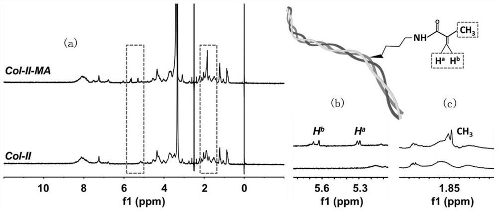 Preparation method of type II collagen hydrogel that induces chondrogenic differentiation of stem cells