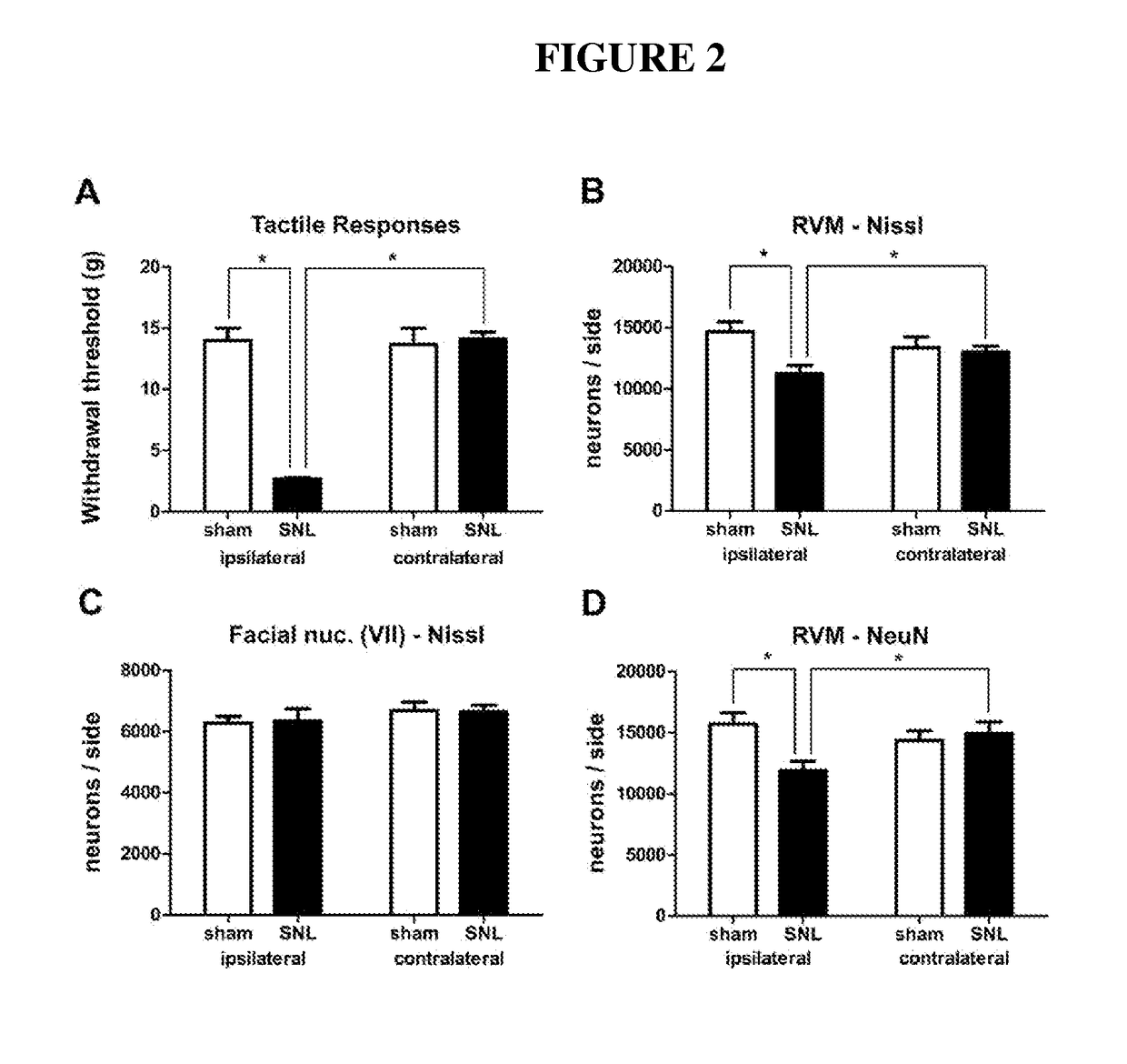 Prevention or attenuation of neuropathic pain by bile acids