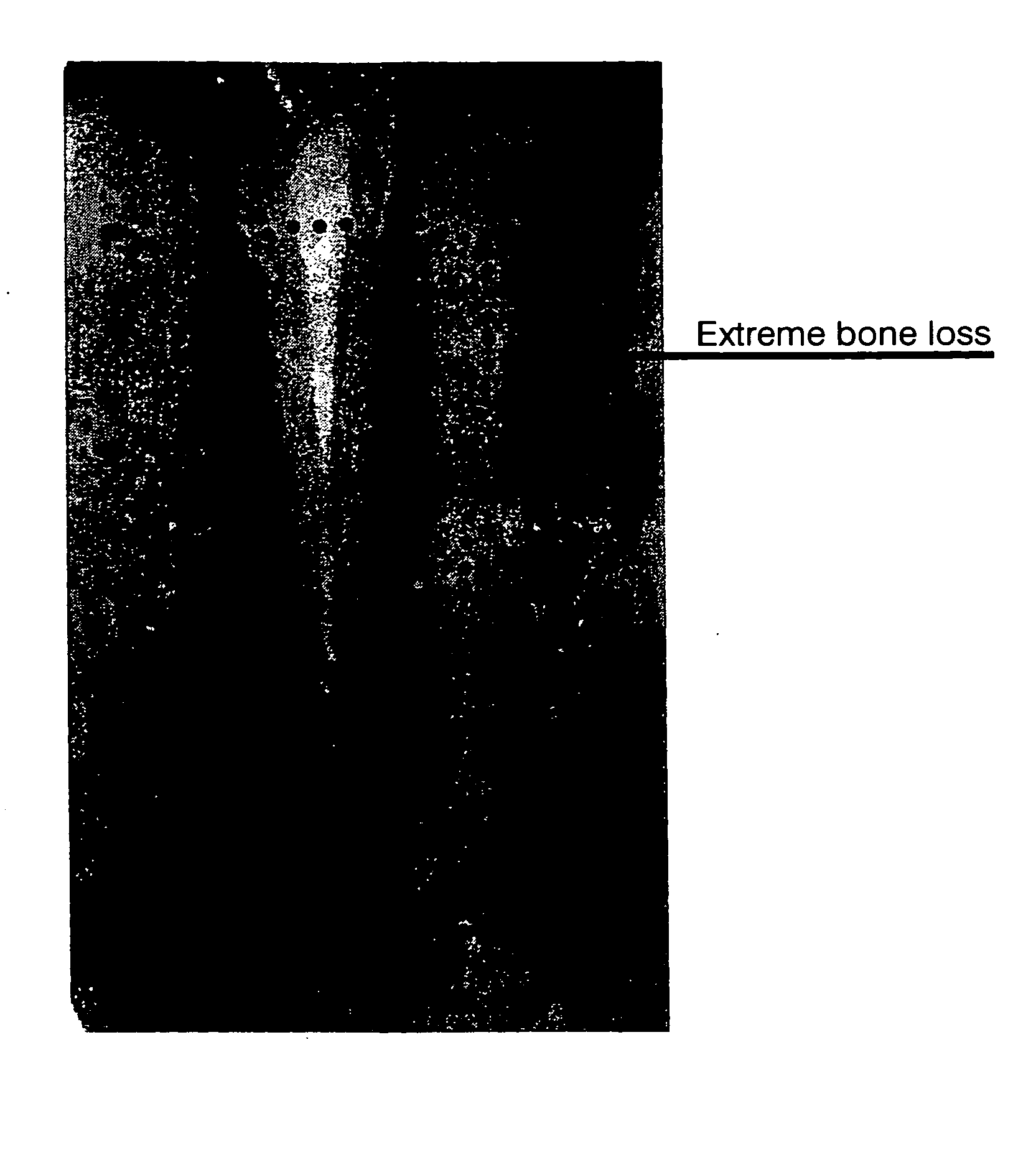 Crosslinkable polymeric materials and their applications