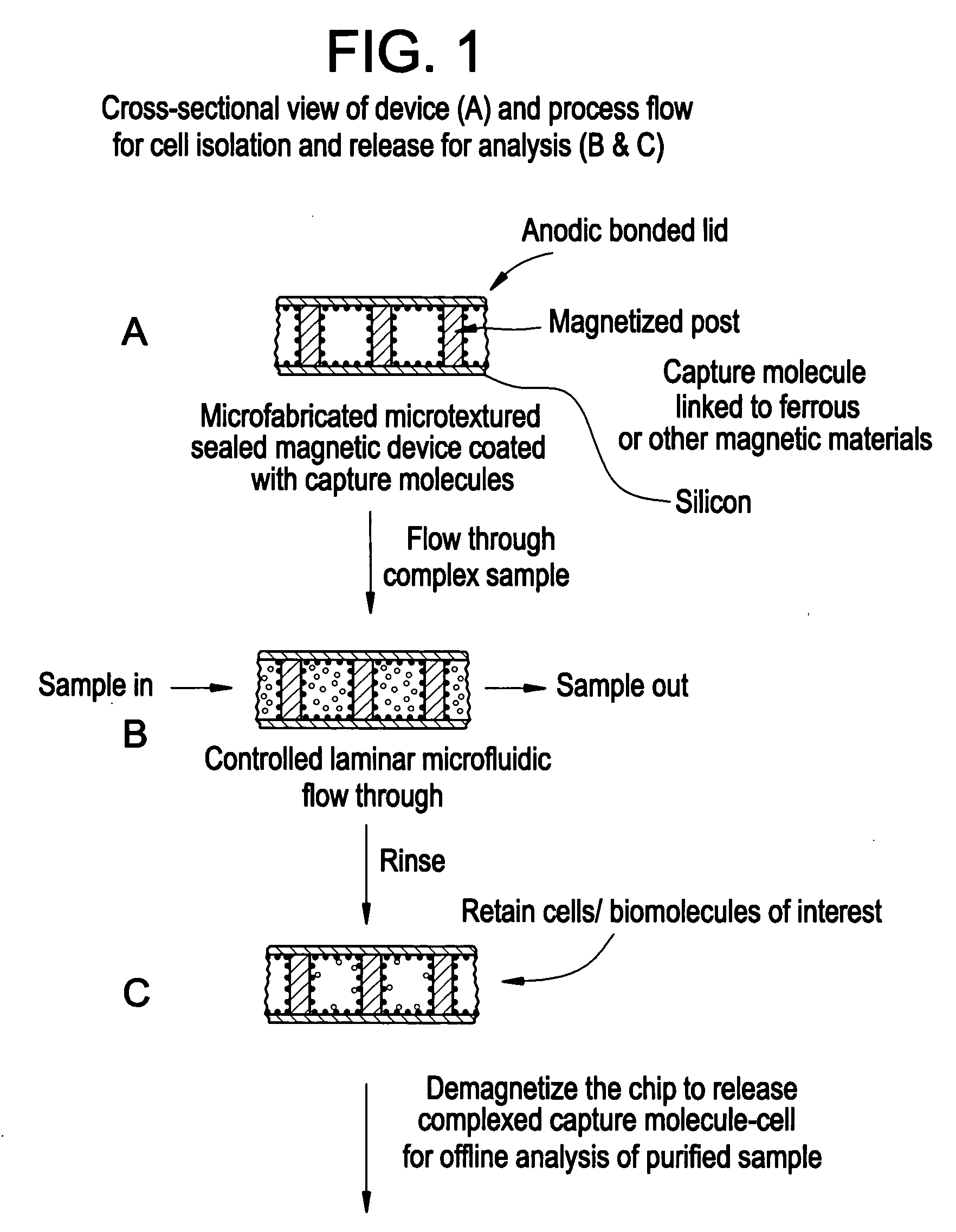 Magnetic device for isolation of cells and biomolecules in a microfluidic environment