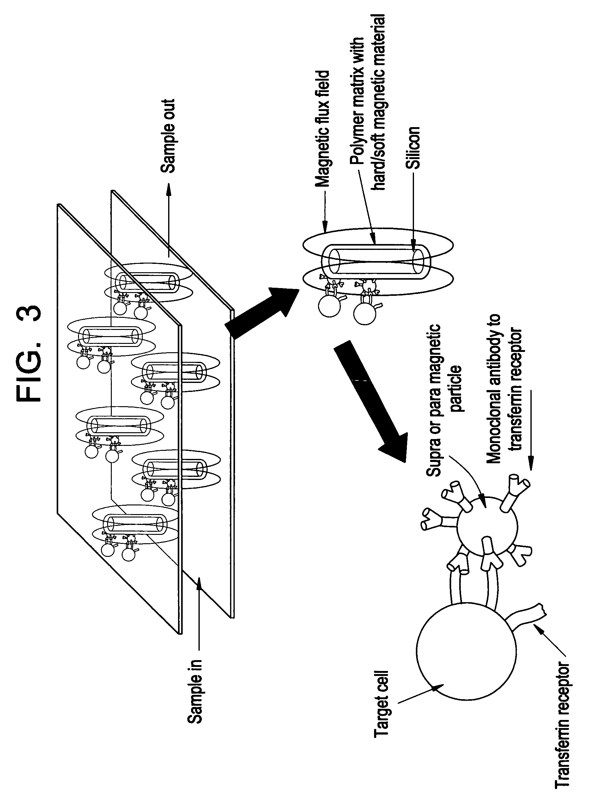 Magnetic device for isolation of cells and biomolecules in a microfluidic environment