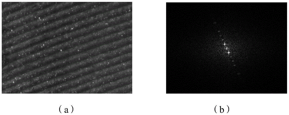 Surface defect detection device and method