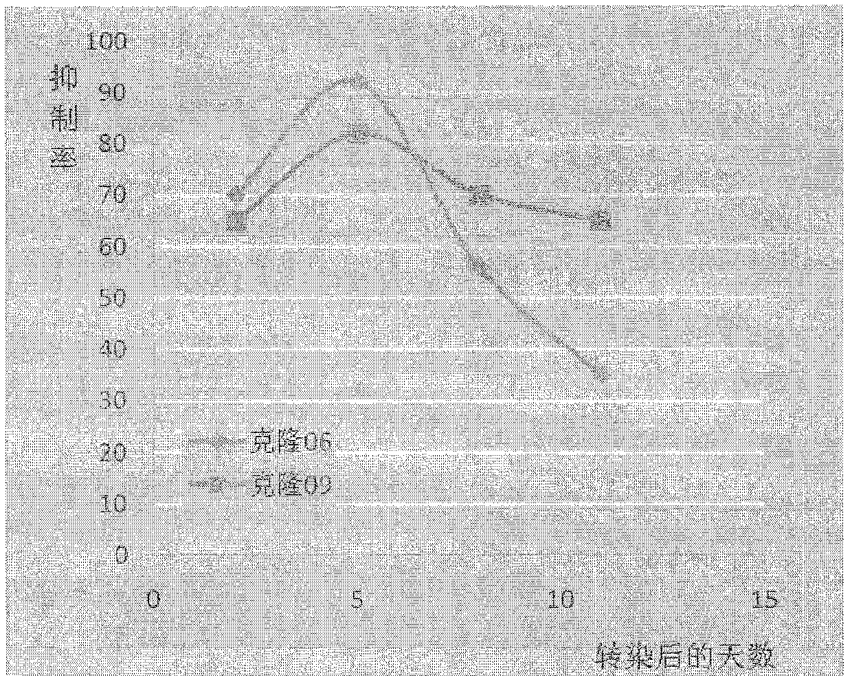 Small-ring type DNA (deoxyribonucleic acid) recombinant vector for blocking HIV (human immunodeficiency virus)-1 membrane fusion and application thereof