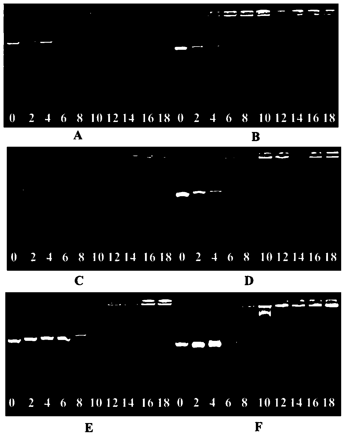 Macrocyclic polyamine compound based on DEDPP-2TPA, and preparation method and use thereof