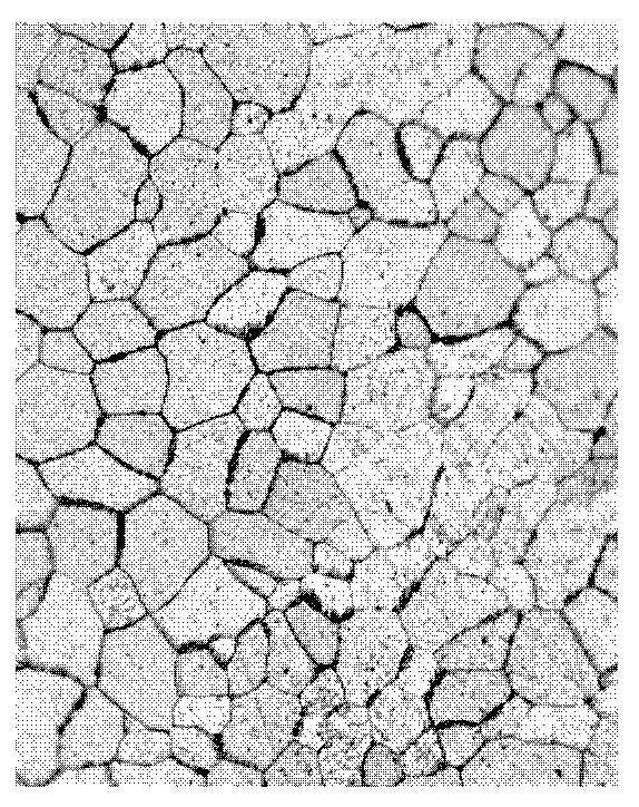 Preparation method of high strength gas discharge electrode