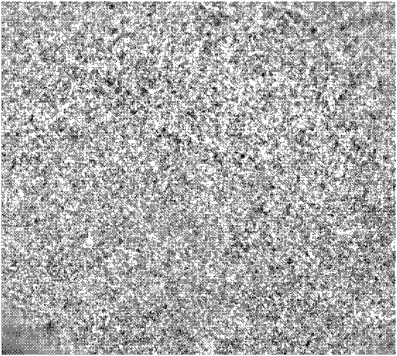 Preparation method of high strength gas discharge electrode