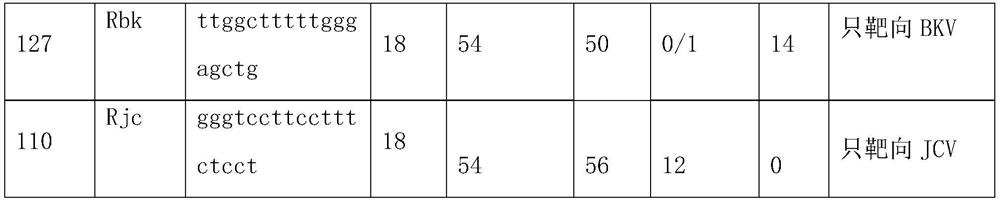 Reagent for detecting BK virus and JC virus and application