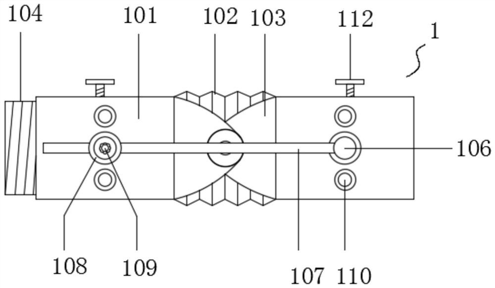 Eel freezing and shaping device