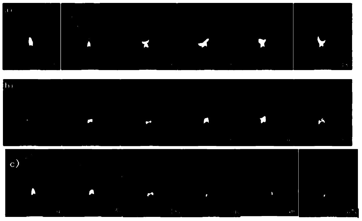 Phosphotungstic acid intercalated hydrotalcite light foam thermal insulating material and preparation method thereof