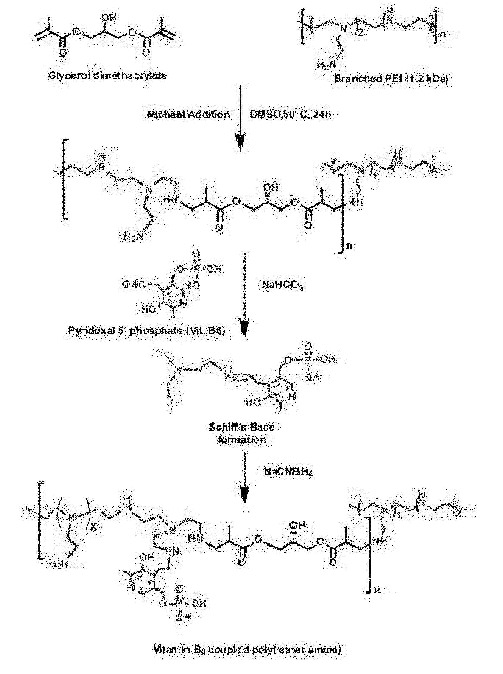 Vitamin b6-coupled poly(ester amine) as gene carrier and application in cancer gene therapy