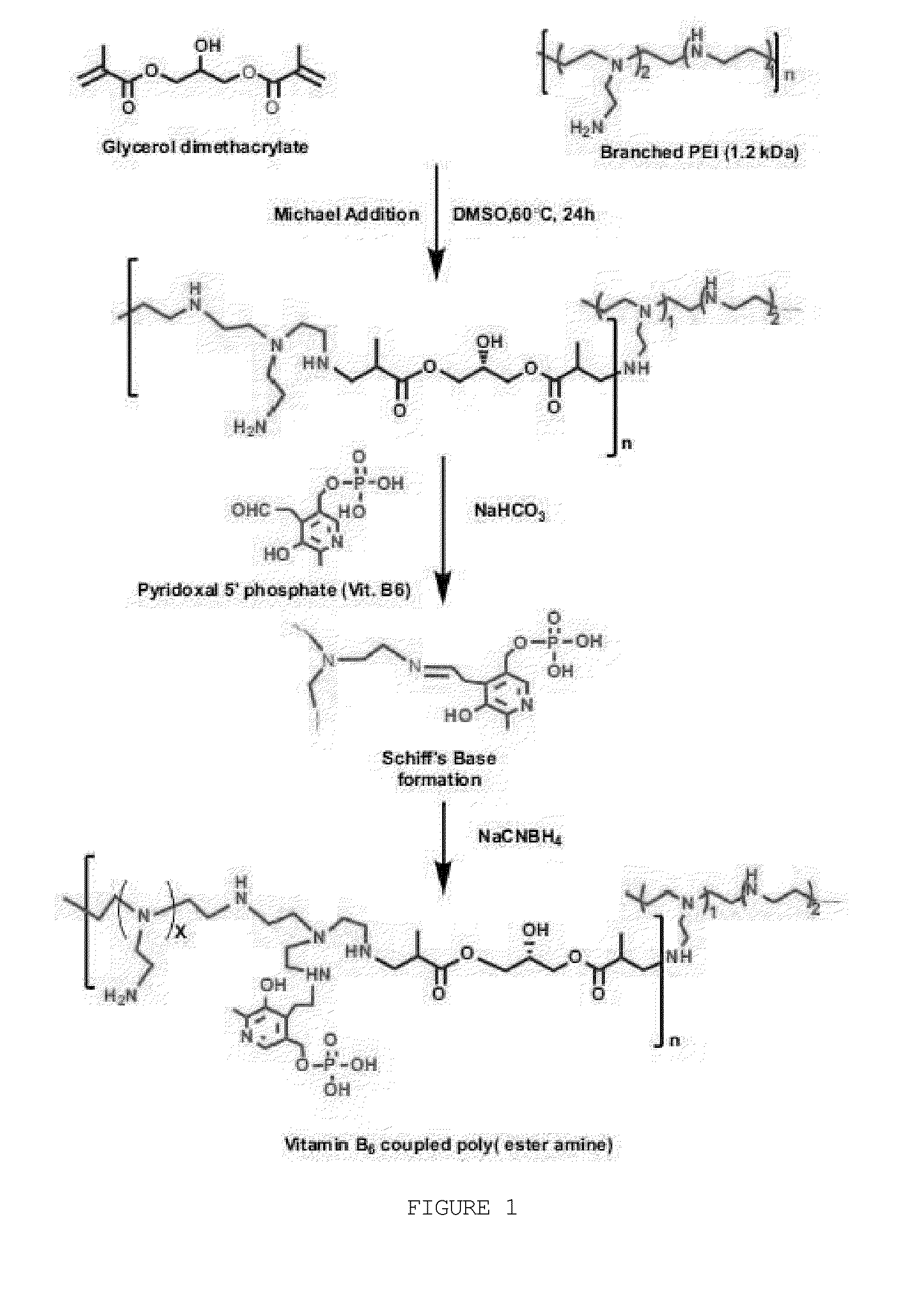 Vitamin b6-coupled poly(ester amine) as gene carrier and application in cancer gene therapy