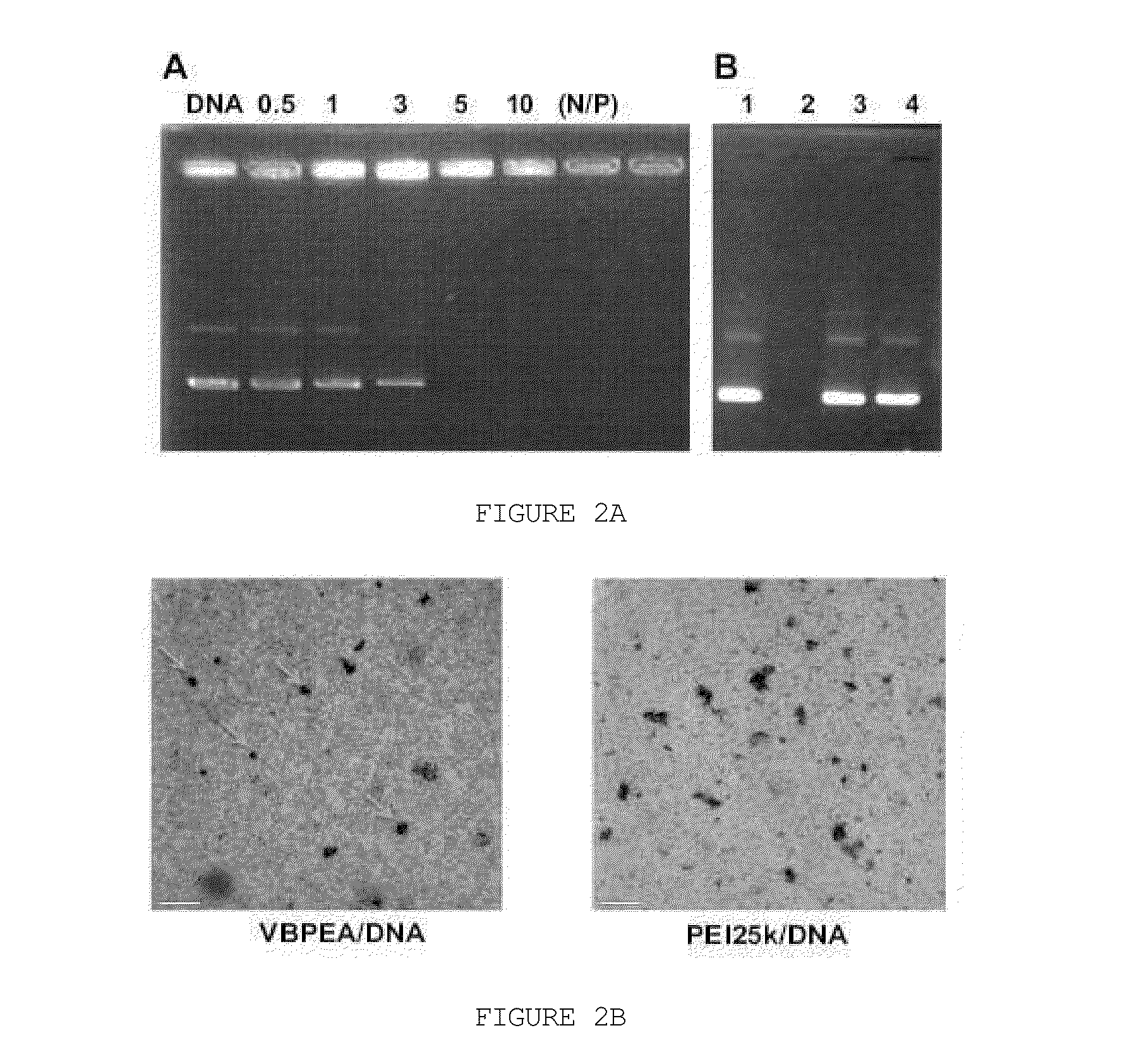 Vitamin b6-coupled poly(ester amine) as gene carrier and application in cancer gene therapy