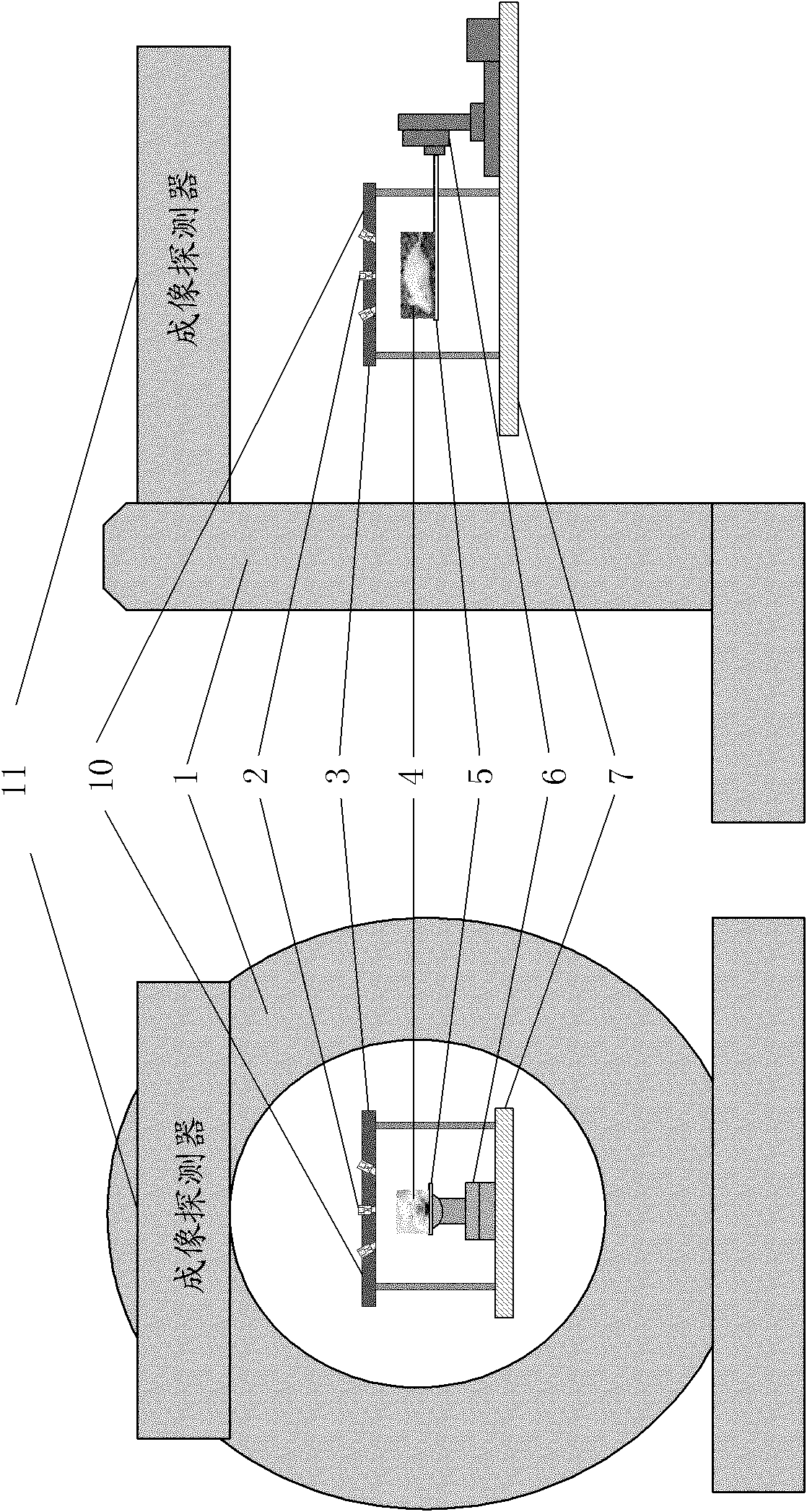 Collimator device for small animal imaging