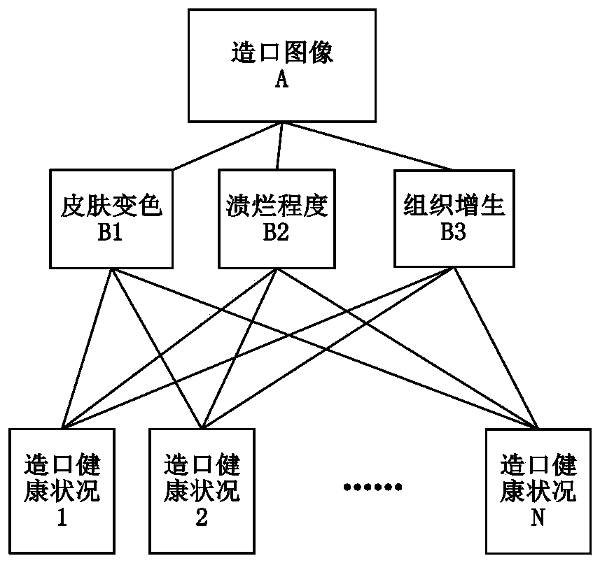 3G wireless communication-based colostomy complication remote diagnosis system