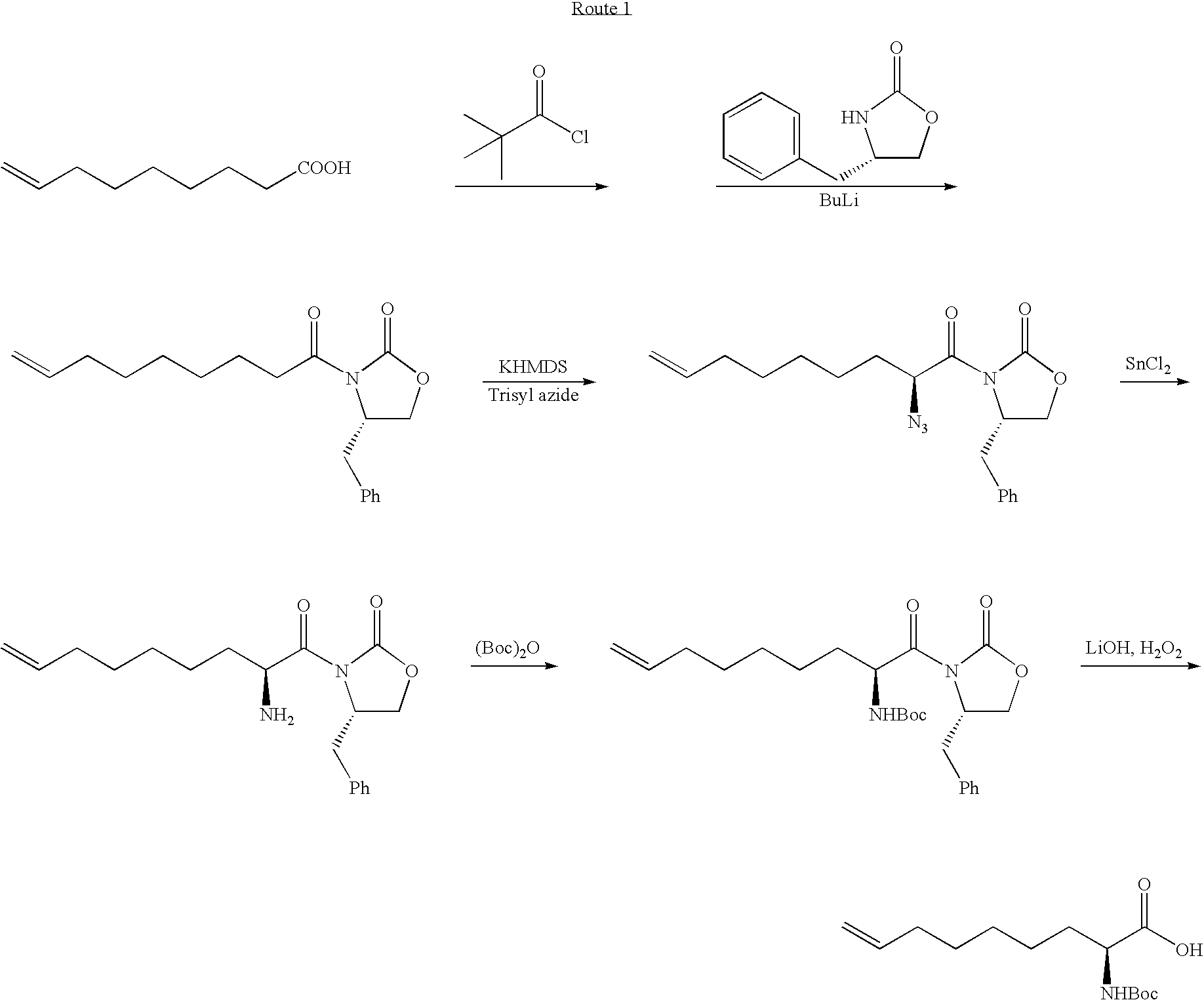 Novel Process for the Preparation of Nonracemic Long Chain alpha-Amino Acid Derivatives