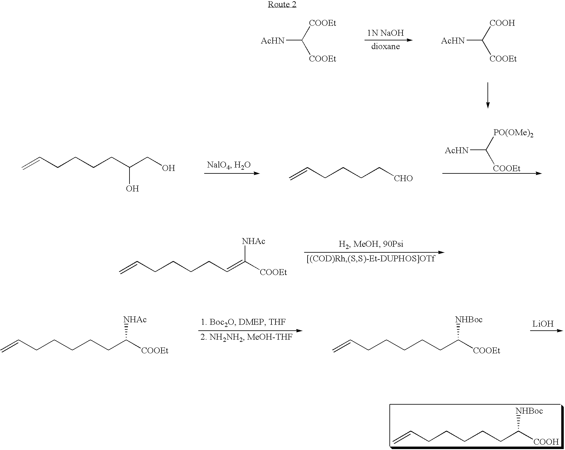 Novel Process for the Preparation of Nonracemic Long Chain alpha-Amino Acid Derivatives