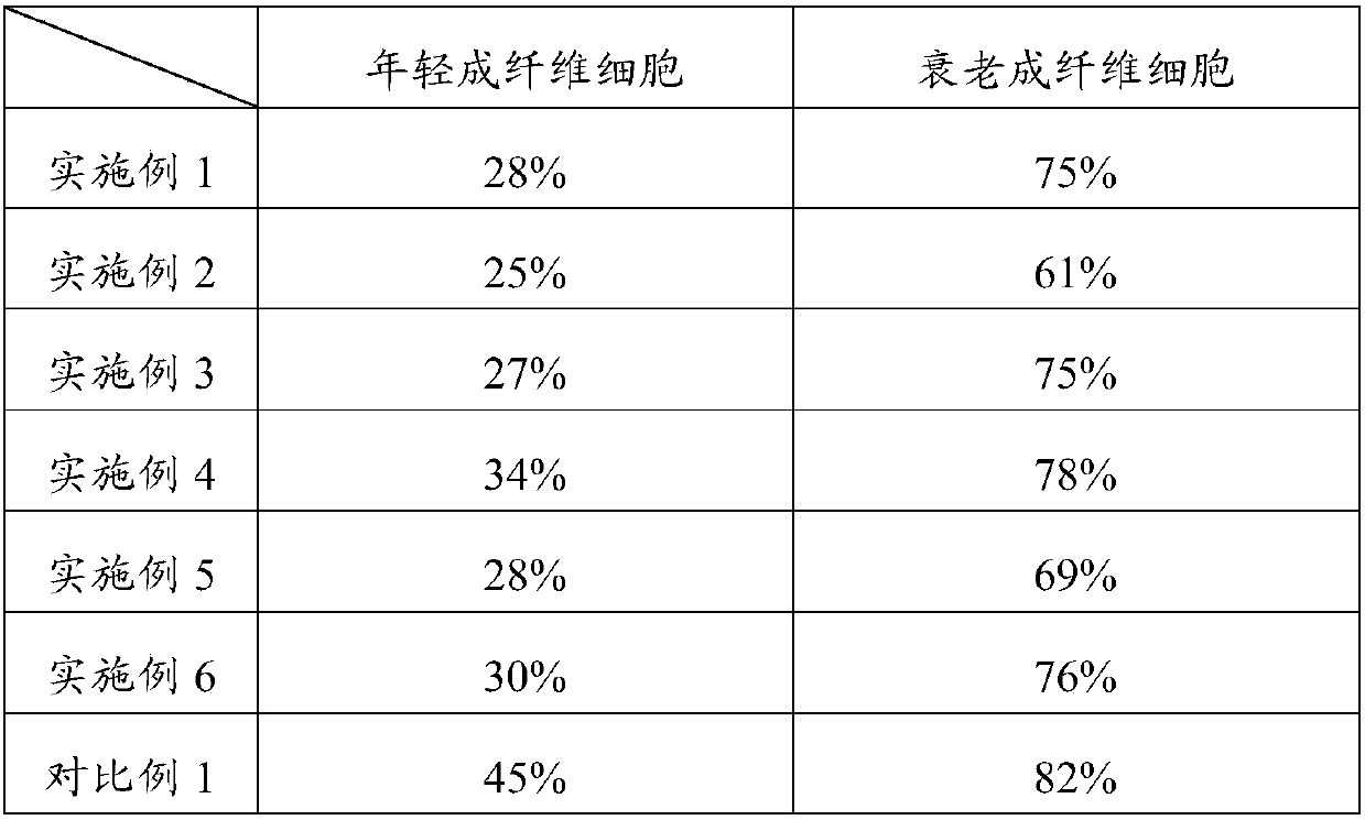 Anti-aging composition and application thereof