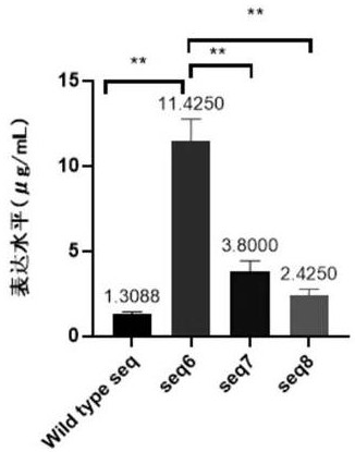 Gene of novel coronavirus B.1.351 South African mutant strain RBD and application of gene