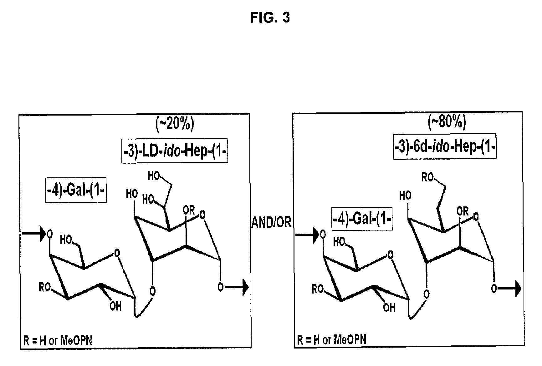 Capsule composition for use as immunogen against Campylobacter jejuni