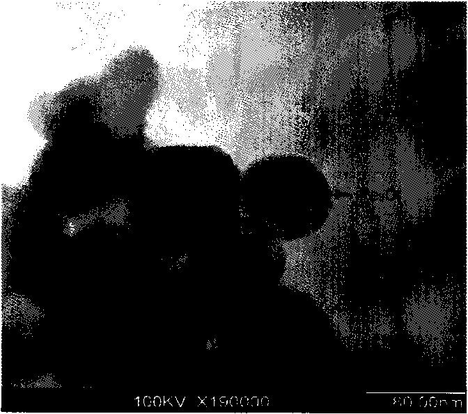 Method for preparing biodiesel by catalysis of nano magnetic sulphonated coal