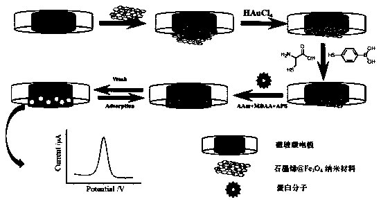 Fabrication method for protein electrochemical imprint sensor of modified magnetic electrode by one-step deposition method