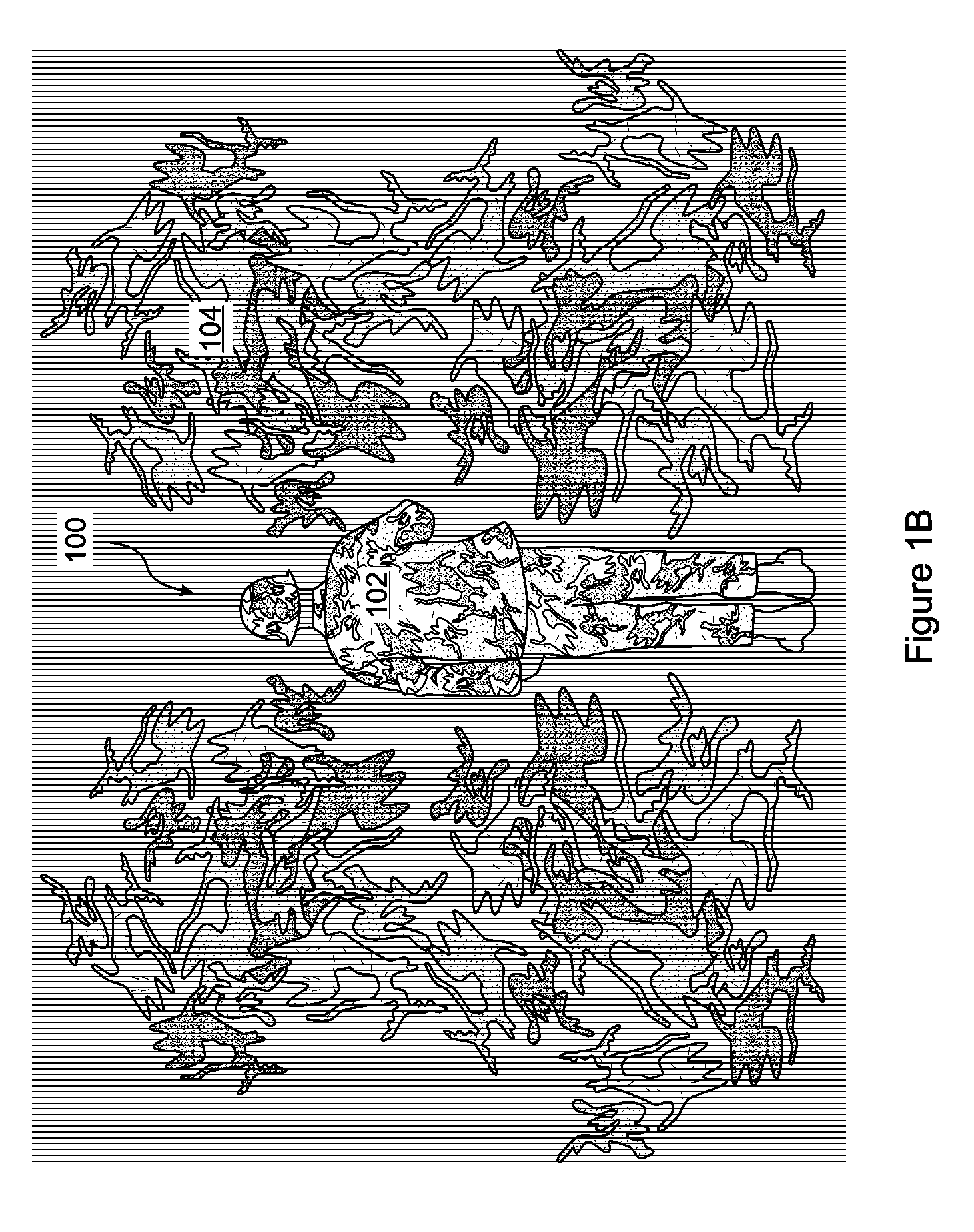 Camouflage in the near ultraviolet spectrum