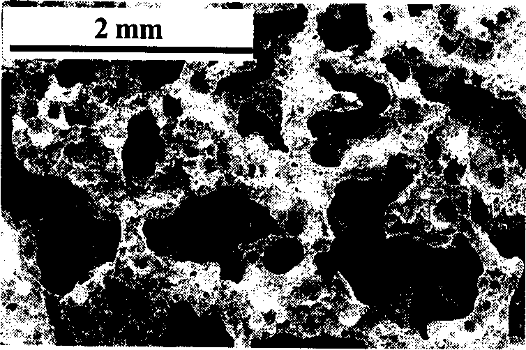 Preparation method of porous marmem damping composite material covered with metal