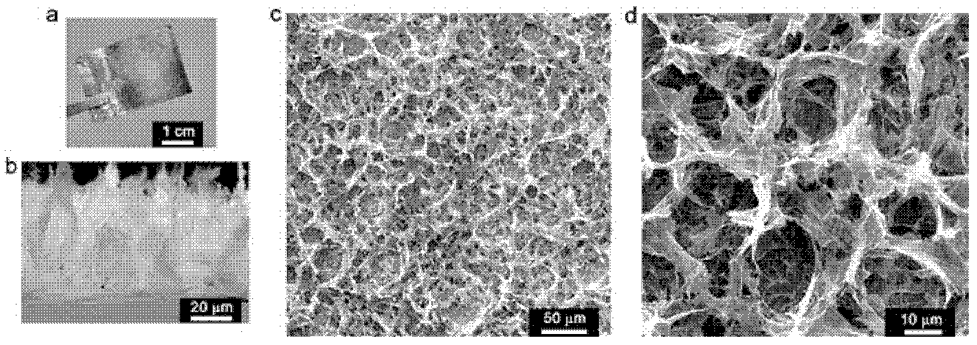 Grapheme electrode and preparation method and application thereof