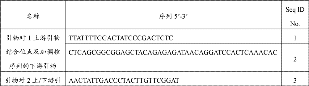 Multiplex PCR-DHPLC (polymerase chain reaction-denaturing high performance liquid chromatography) detection primer and detection method for genetically modified maize