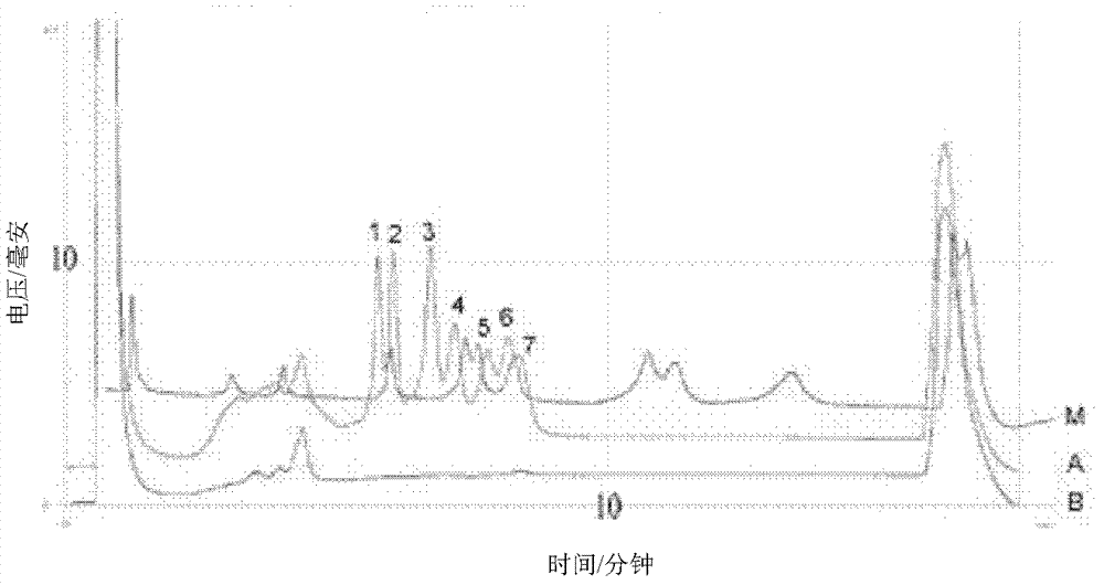 Multiplex PCR-DHPLC (polymerase chain reaction-denaturing high performance liquid chromatography) detection primer and detection method for genetically modified maize