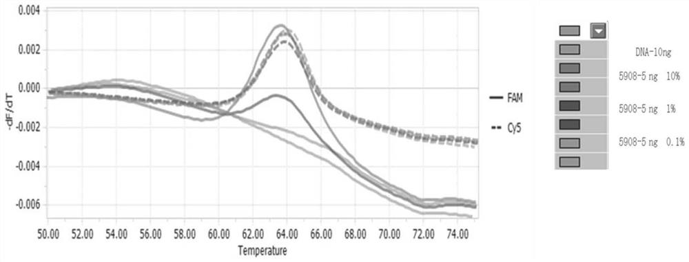 Nucleic acid composition and kit for detecting EGFR gene mutation and detection method of EGFR gene mutation