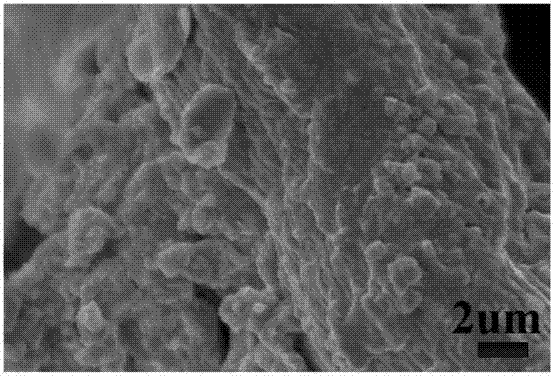 Preparation method of magnetic cellulose aerogel