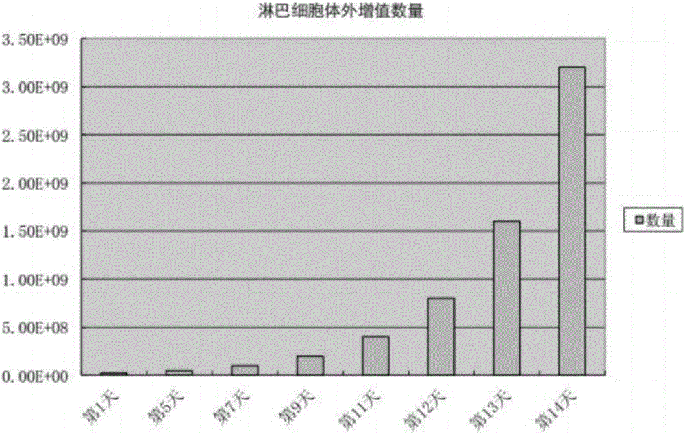 Recombinant CAR gene and carrier, CAR-T cell and application thereof