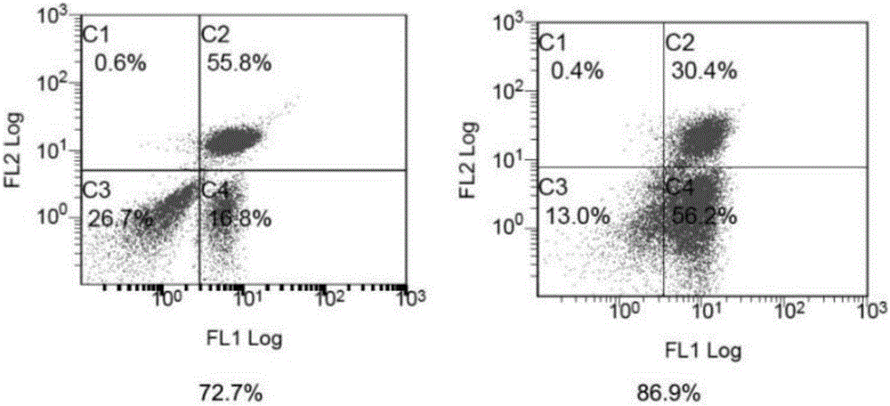 Recombinant CAR gene and carrier, CAR-T cell and application thereof