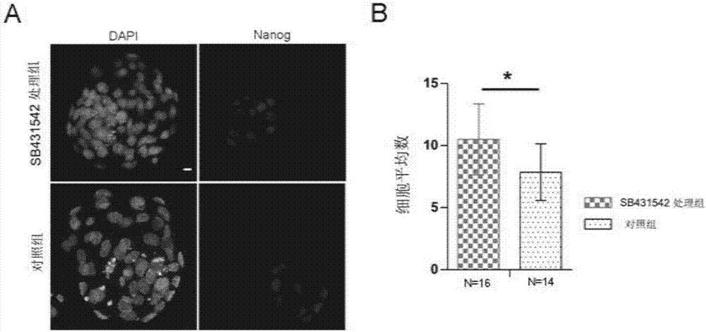 Method for improving chimeric capability of ES cells of mouse to epiblasts of early embryos