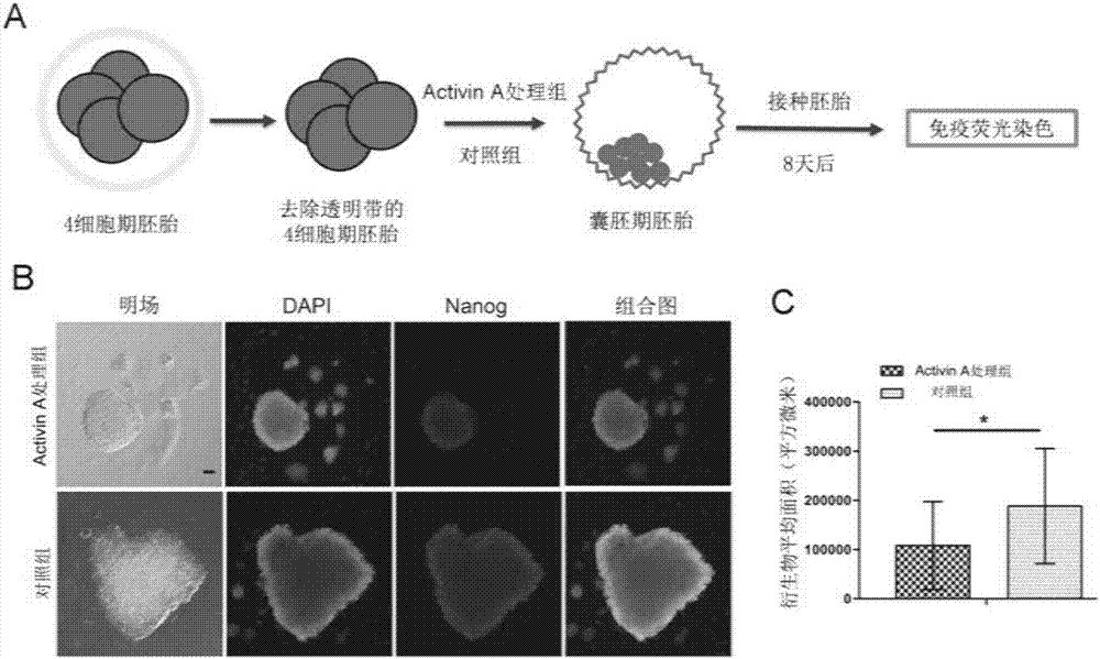 Method for improving chimeric capability of ES cells of mouse to epiblasts of early embryos