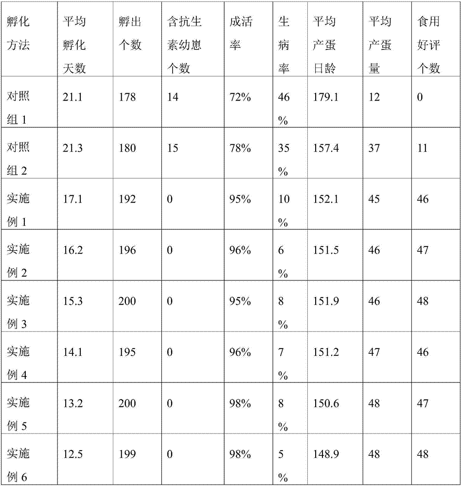 Breeding method for laying hen