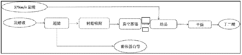 Method for separating and purifying succinic acid from fermentation broth