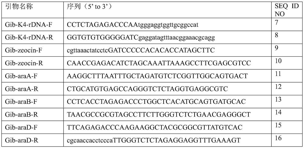 Recombinant Saccharomyces cerevisiae strain and its preparation method and application