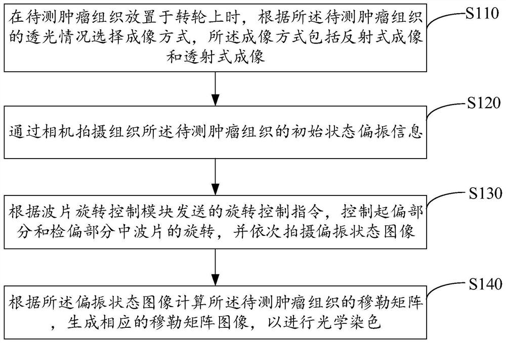 Tumor tissue imaging device and method