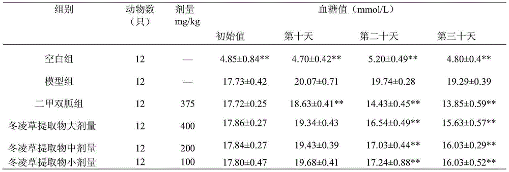 Application of rabdosia rubescens extract in preparation of hypoglycemic agent