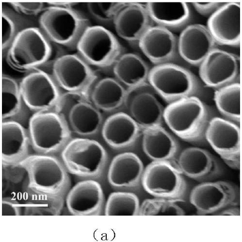 Electrochemical self-doped WO3 particle-supported TiO2 nanotube, and preparation method and application thereof