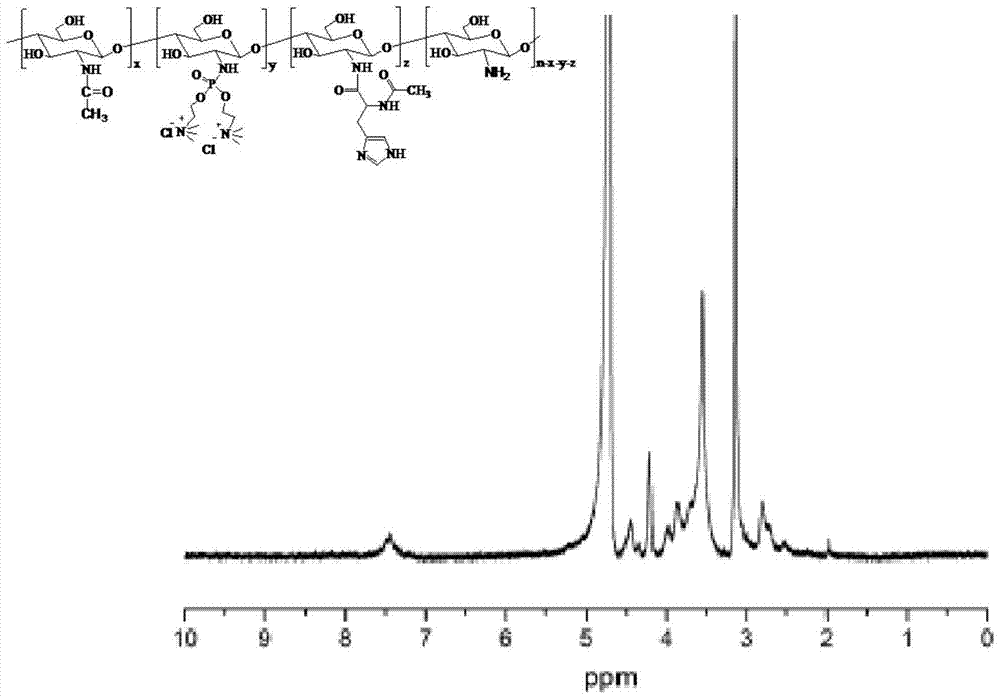 A cationic chitosan biomimetic derivative and its application