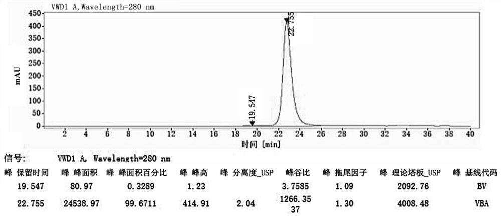 Bispecific antibodies against cd20 and cd3 and their uses