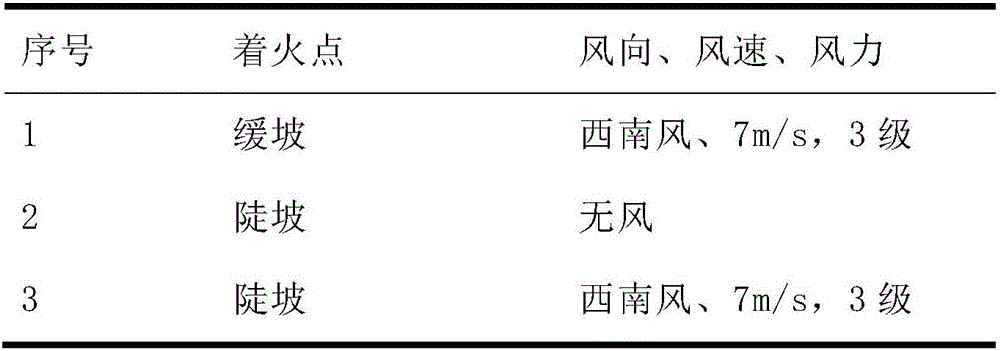 Mountain fire disaster development tendency simulating and predicting method and device