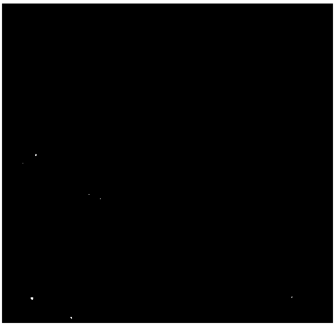 In vitro expansion method of NK cells and kit for method