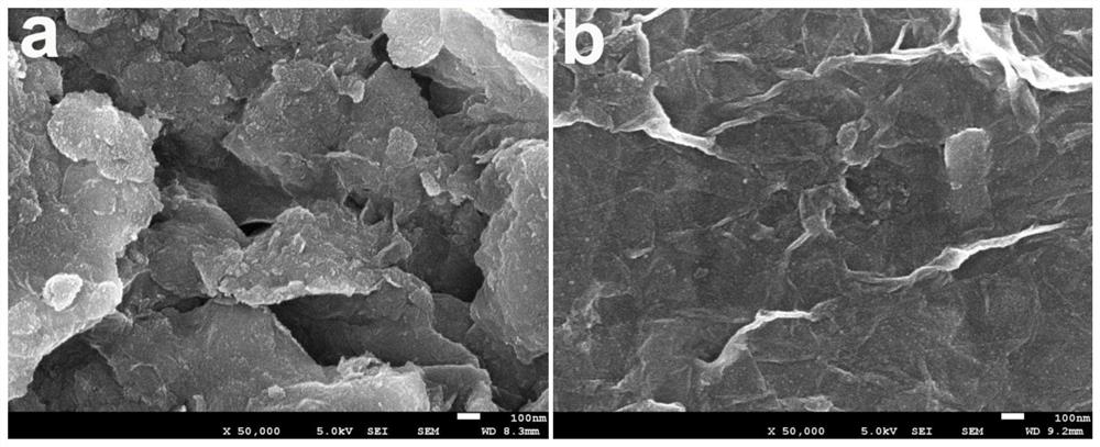 A kind of vibrio dna electrochemical sensor and its preparation method and application