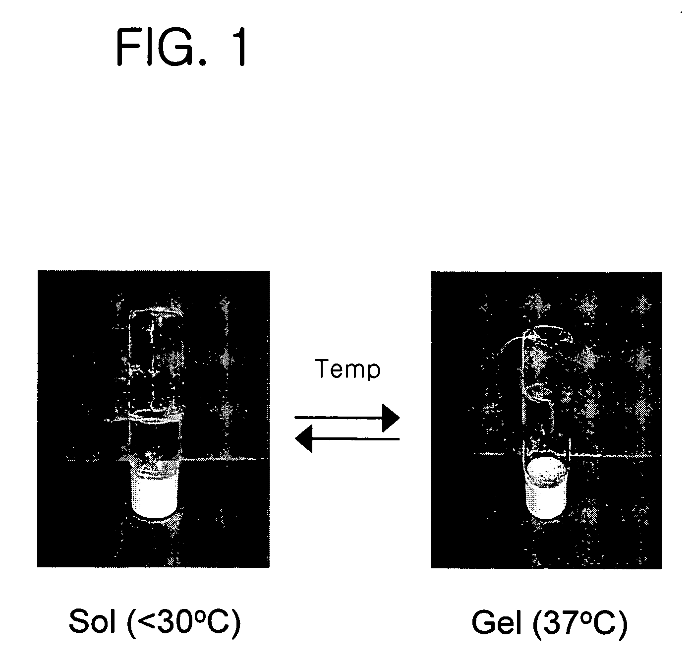 Thermosensitive poly (organophosphazenes), preparation method thereof and injectable thermosensitive polyphosphazene hydrogels using the same